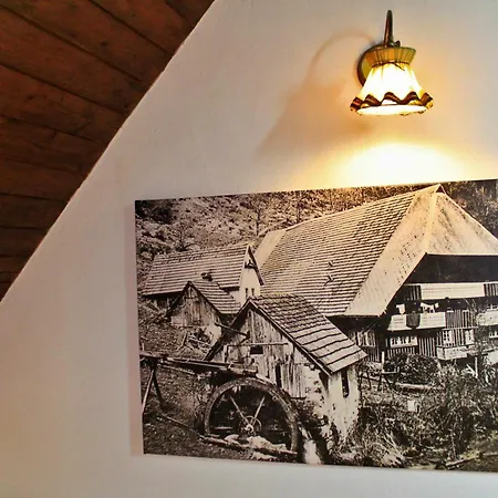 Seperates Bachhaeusle Auf Dem Hasenhof Mit Eigener Terrasse Mit Grill, Kachelofen, Wlan * Hornberg