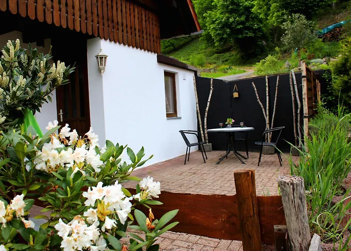 Seperates Bachhaeusle Auf Dem Hasenhof Mit Eigener Terrasse Mit Grill, Kachelofen, Wlan Hornberg